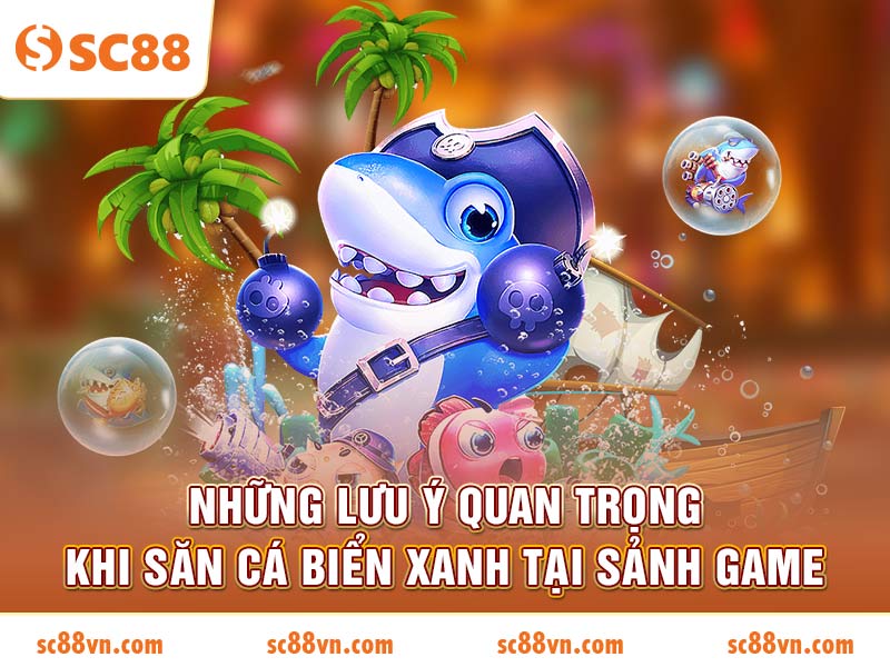 Những lưu ý quan trọng khi săn cá Biển Xanh tại sảnh game