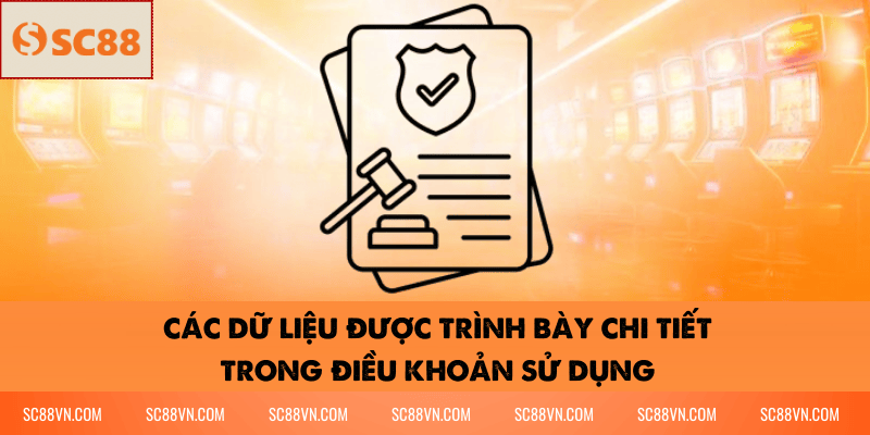 Các dữ liệu được trình bày chi tiết trong điều khoản sử dụng